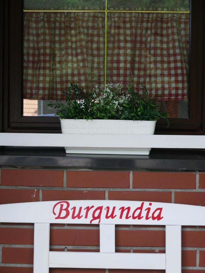 Niewinne domki - Burgundia Żywiec Exterior foto
